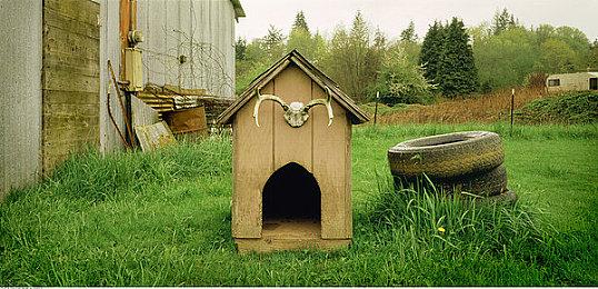 EVO 2024各游戏项目参赛人数公布 《街头霸王6》位居榜首